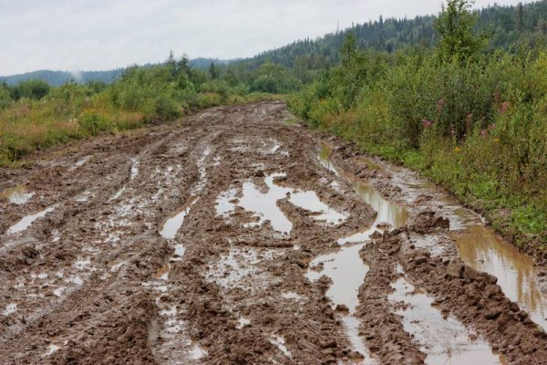Ливни размыли несколько дорог в Приморье