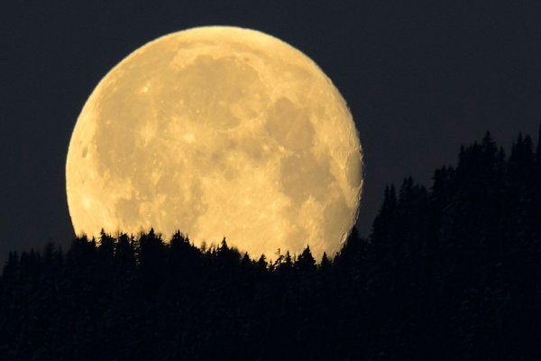 Астрономы рассказали о важности Луны для существования Земли