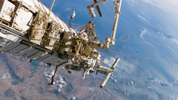 Российские космонавты обнаружили на МКС внеземную жизнь
