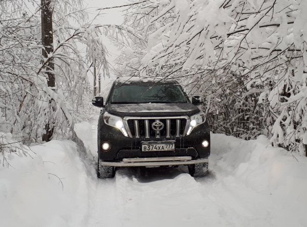 Бензин против дизеля: «Рогатые» Toyota Land Cruiser Prado сравнили в езде по снегу