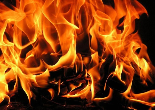 Пожар в птицефабрике: сгорели около 10 тысяч кур