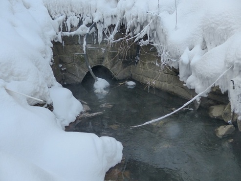 Зафиксированы три сброса воды неизвестного происхождения в речку Тюменку