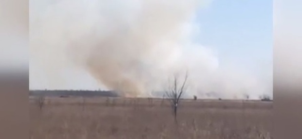 В Псковской области горела целая деревня