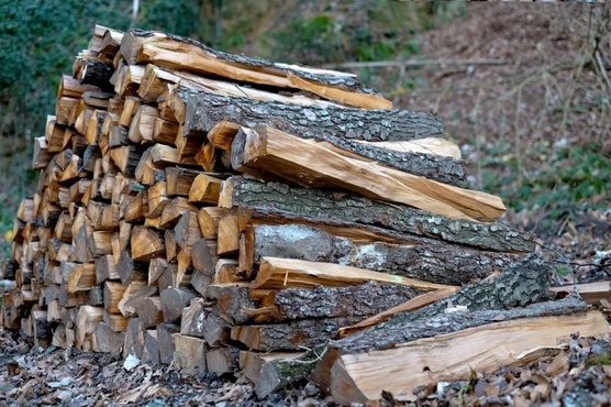 Тюменцы могут помочь пенсионерам с заготовкой дров