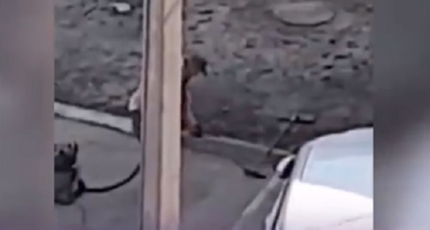Россиянин пропылесосил парковку для своей машины