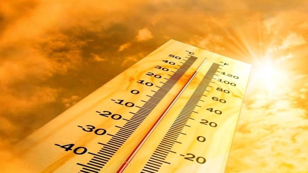 Лето 2019 года названо самым жарким за всю историю
