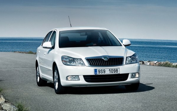 DSG и большой пробег – понятия несовместимые? О проехавшей 235 000 км Skoda Octavia рассказал владелец