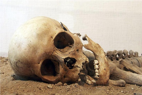 В Ноябрьске в подвале дома нашли человеческие останки