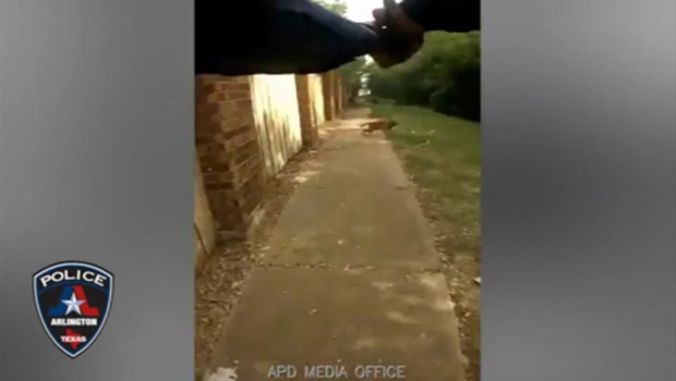 Сотрудник полиции испугался собаки и убил ее хозяйку – видео