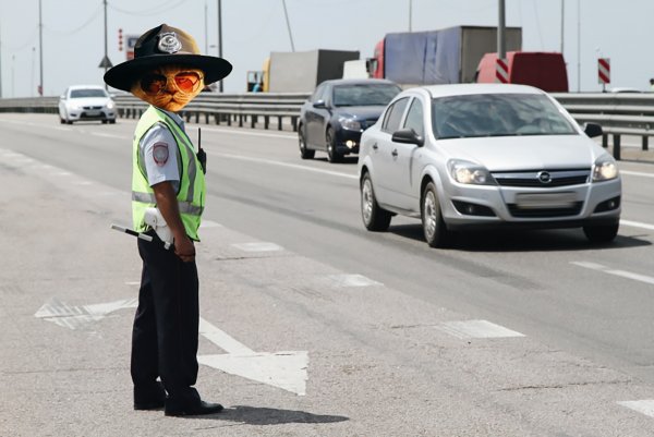 «Тот случай, когда власть умнее народа»: Прав инспектор или водитель — в сети обсудили спорный инцидент на трассе М4 «Дон»