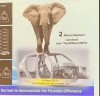 Hyundai Creta 2020 сможет выдержать вес двух африканских слонов