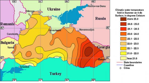 В Чёрном море могут появиться крупные виды акул из-за глобального потепления